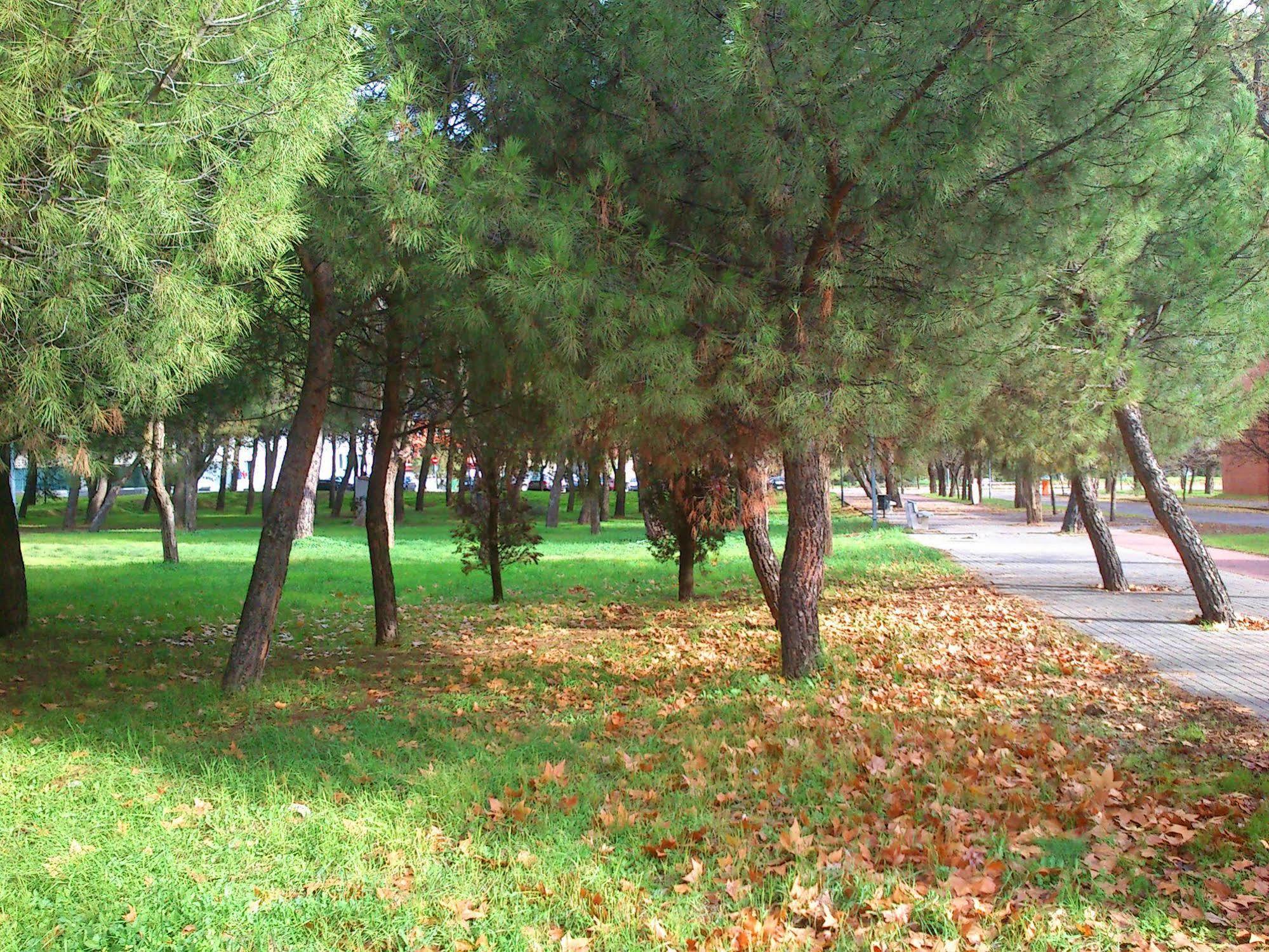 Residencia Universitaria Resa Giner De Los Rios อัลกาลาเดเอนาเรส ภายนอก รูปภาพ